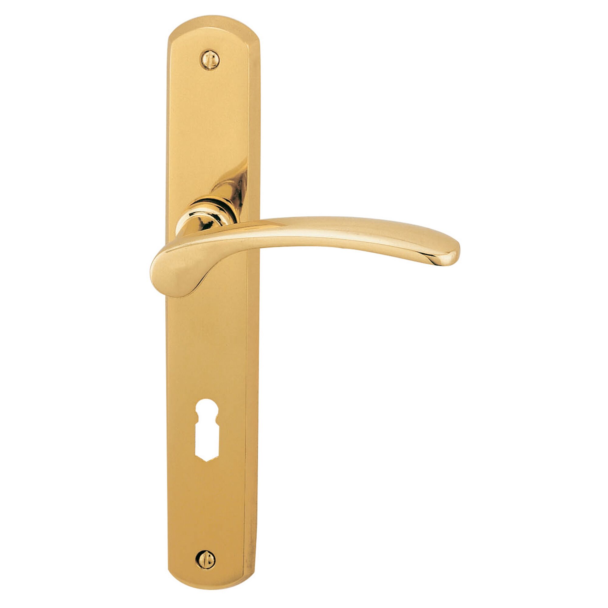 Goldener Türgriff mit Langschild und Schlüsselöffnung.