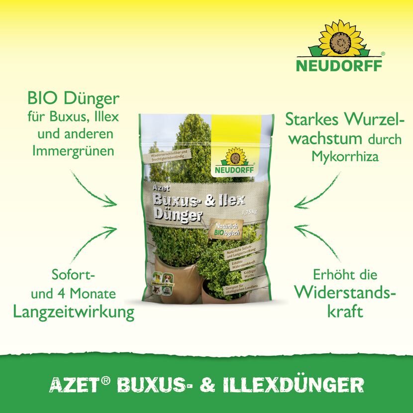 Buxus- und Ilexdünger 'Azet' 1,75 kg