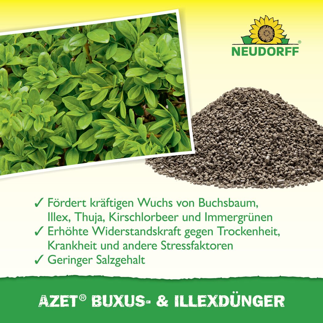 Buxus- und Ilexdünger 'Azet' 1,75 kg