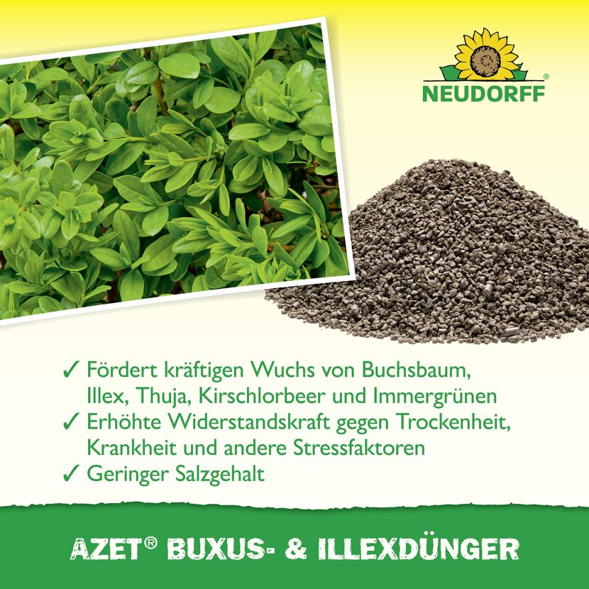 Buxus- und Ilexdünger 'Azet' 1,75 kg