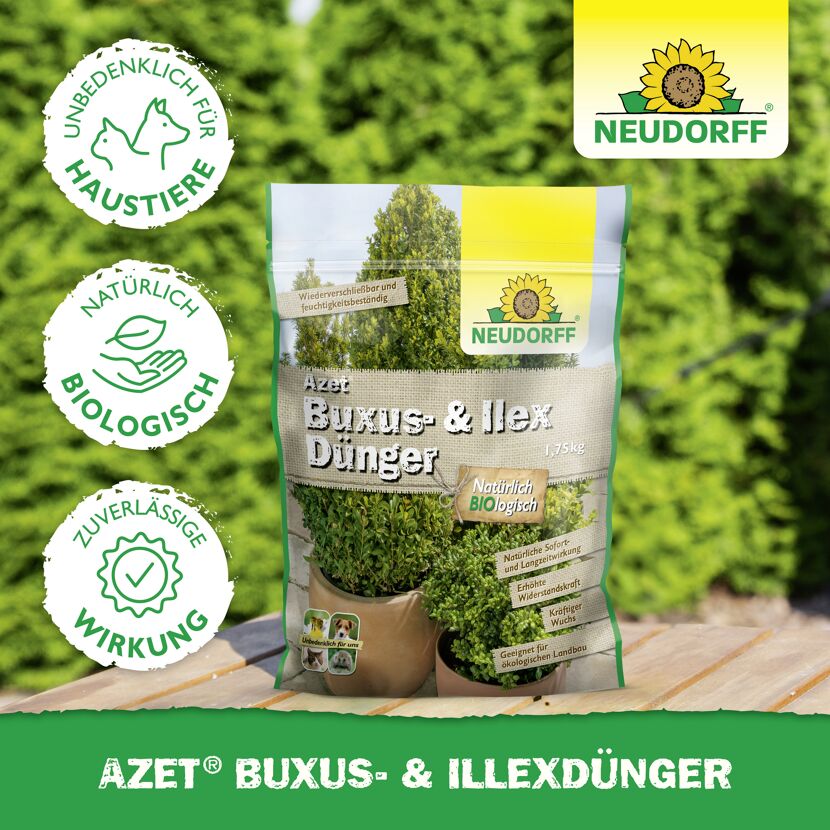 Buxus- und Ilexdünger 'Azet' 1,75 kg