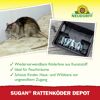 Rattenköder-Depot 'Sugan'