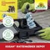 Rattenköder-Depot 'Sugan'