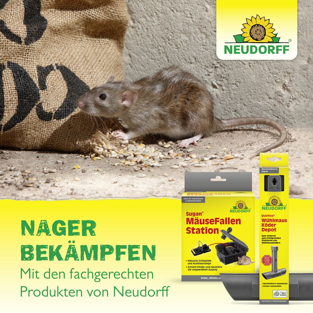 Rattenköder-Depot 'Sugan'