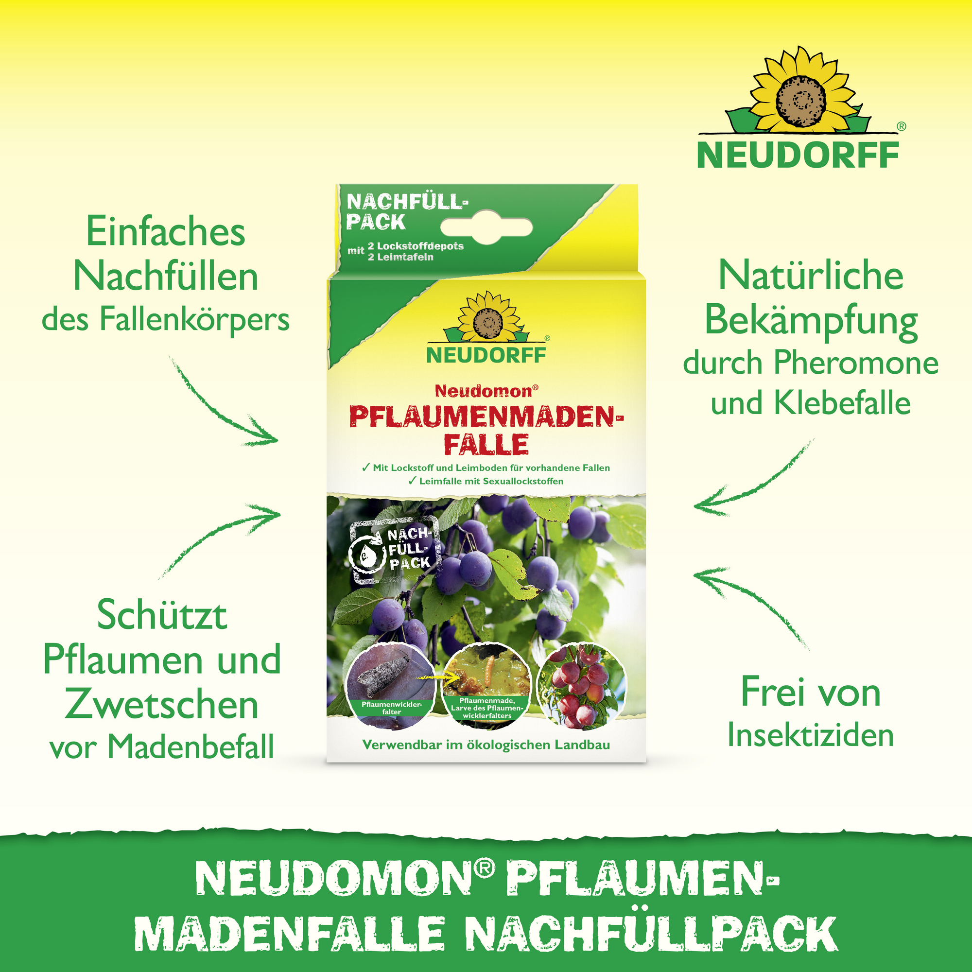 Neudomon PflaumenmadenFalle Nachfüllpack 1 Set