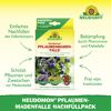 Neudomon Pflaumenmaden-Falle Nachfüllpack 1 Set