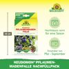 Neudomon Pflaumenmaden-Falle Nachfüllpack 1 Set