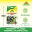 Neudomon Pflaumenmaden-Falle Nachfüllpack 1 Set