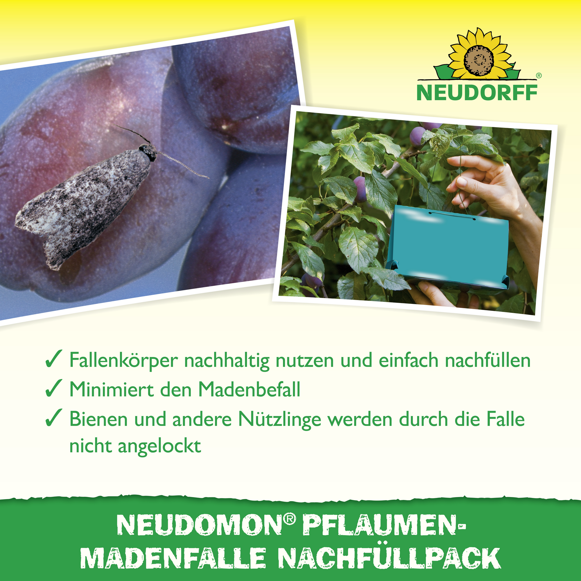 Neudomon PflaumenmadenFalle Nachfüllpack 1 Set