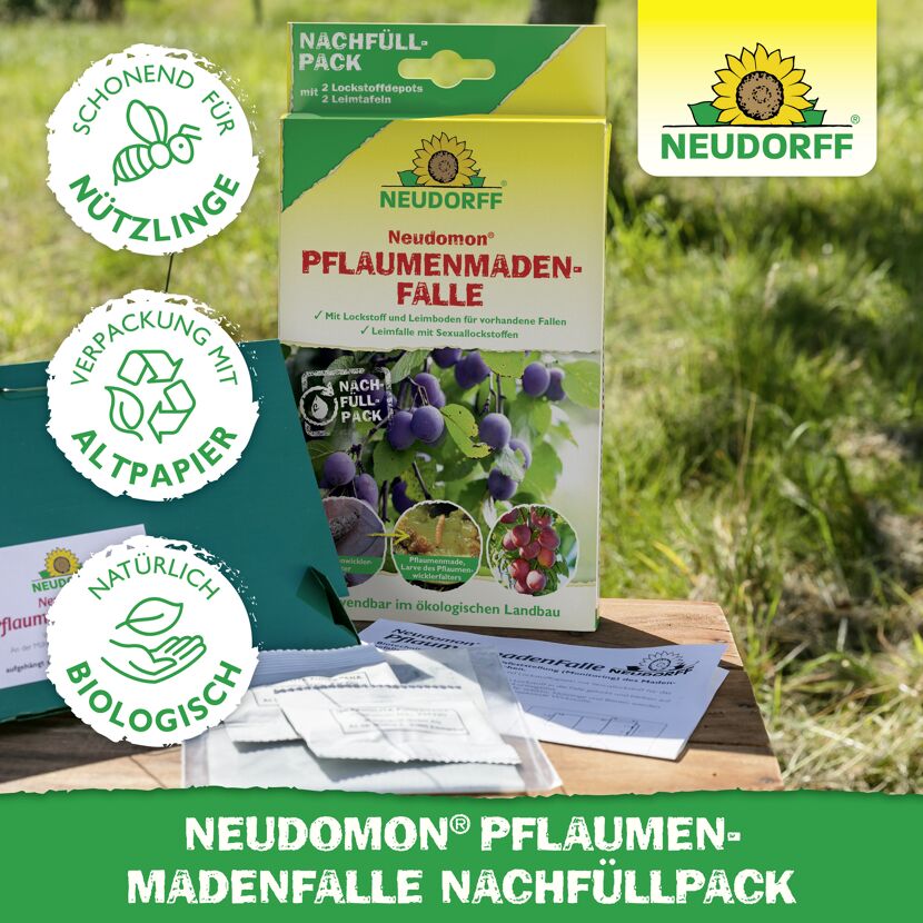 Neudomon Pflaumenmaden-Falle Nachfüllpack 1 Set