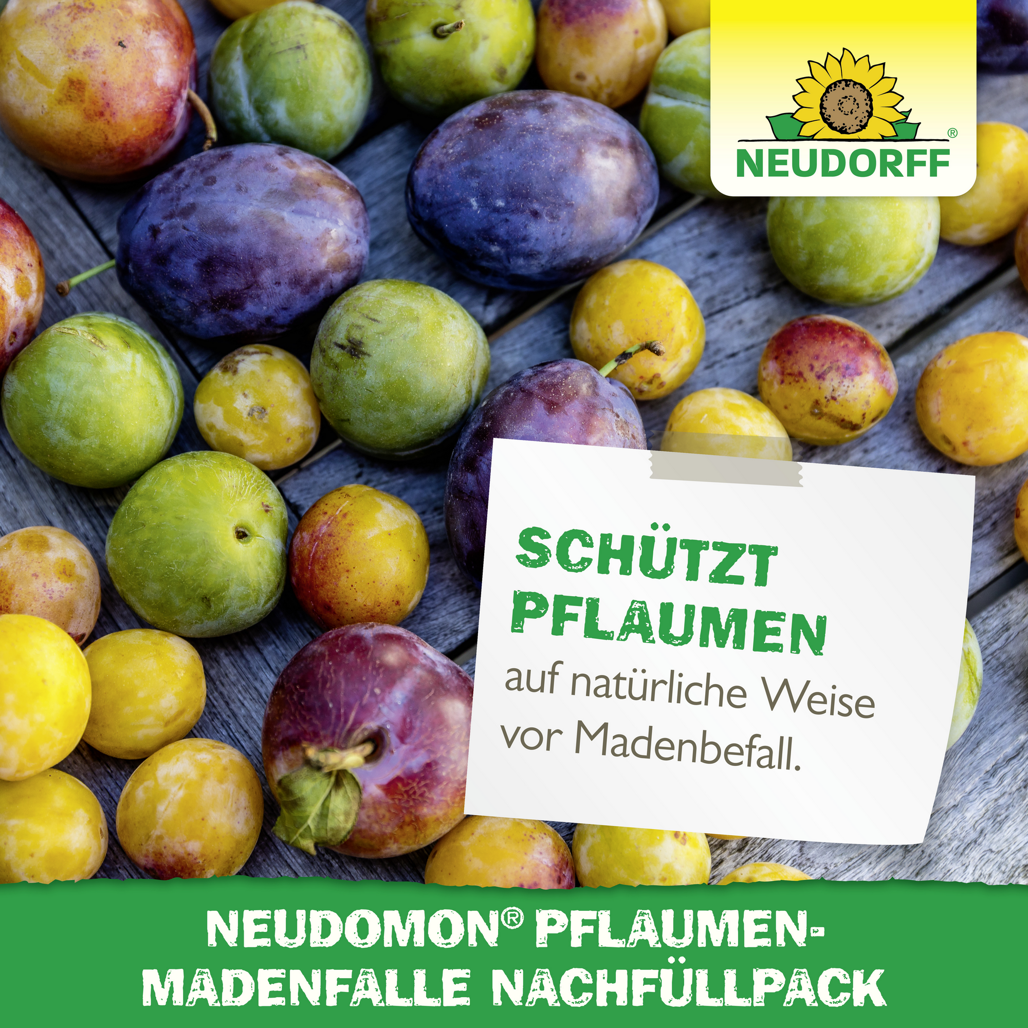 Neudomon PflaumenmadenFalle Nachfüllpack 1 Set