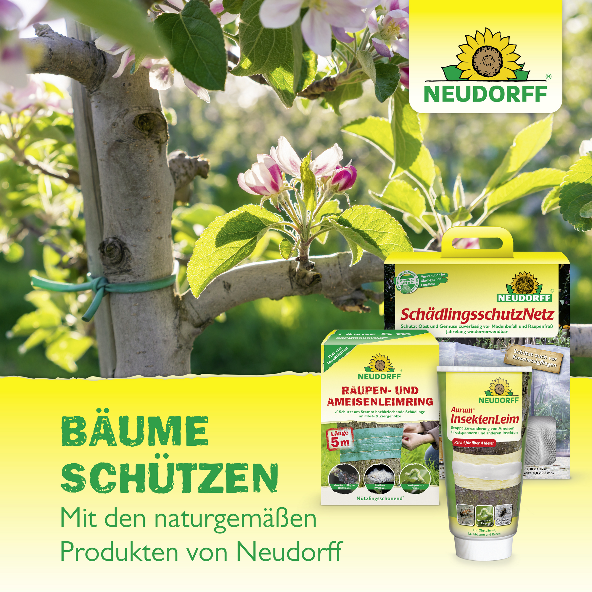 Neudomon PflaumenmadenFalle Nachfüllpack 1 Set