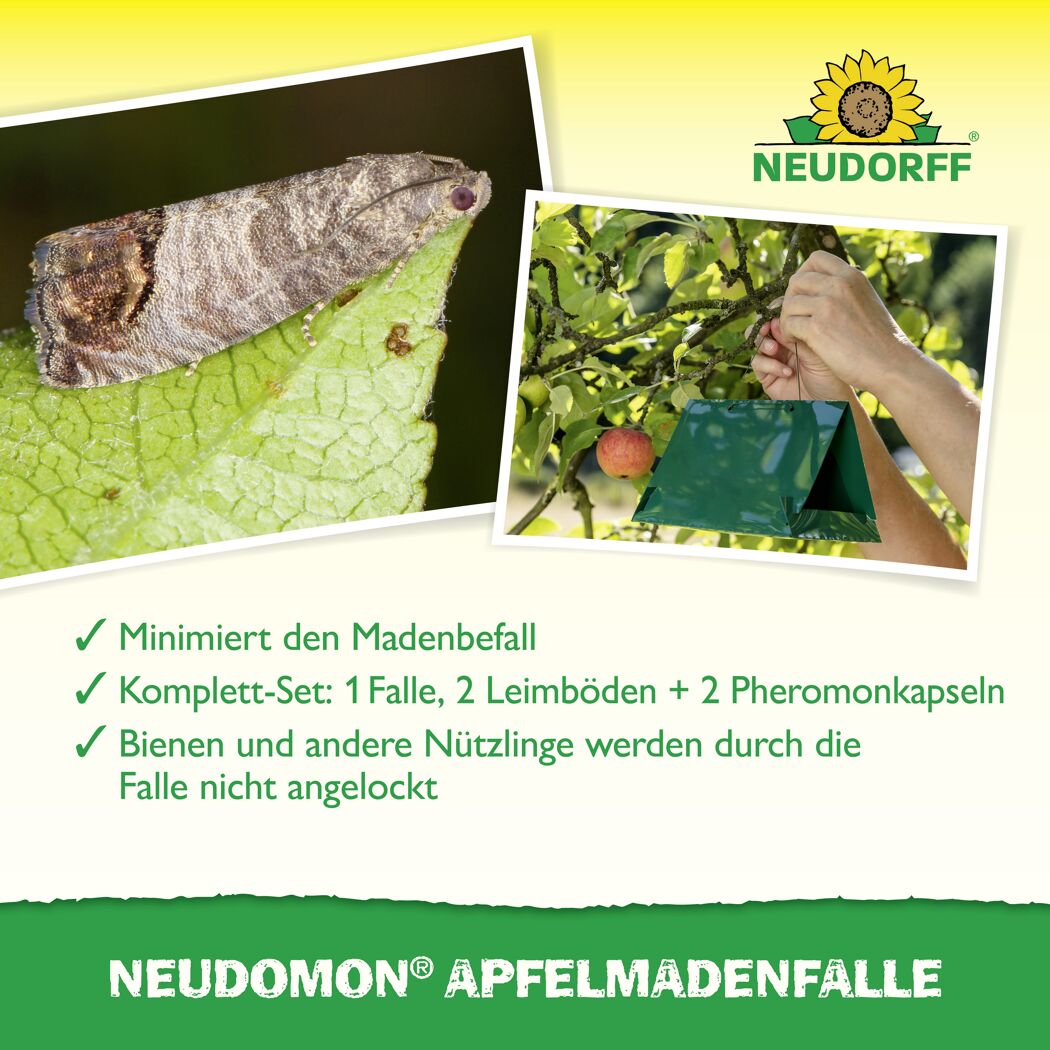 Neudomon Apfelmaden-Falle