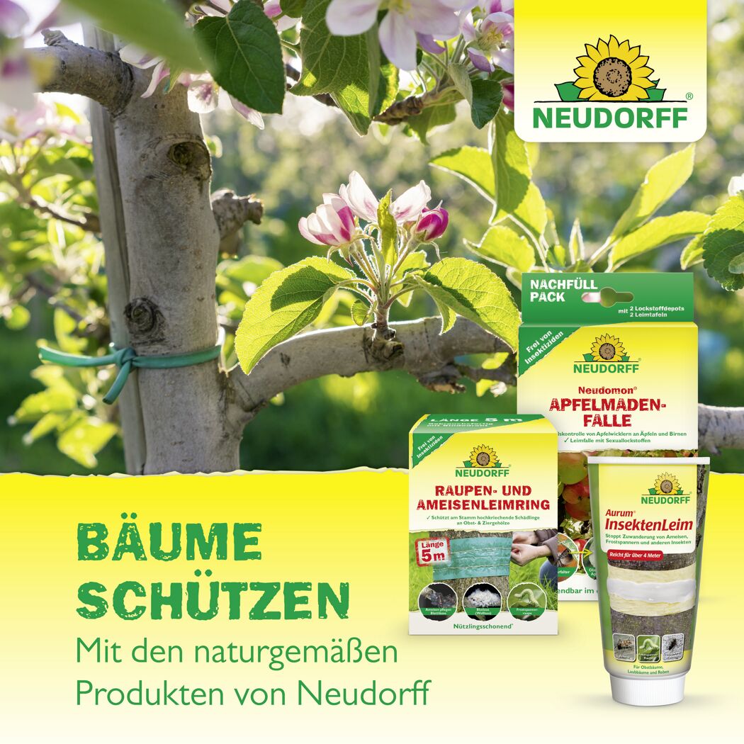 Neudomon Apfelmaden-Falle