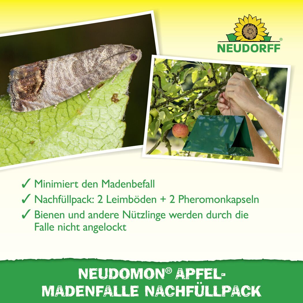 Neudomon Apfelmaden-Falle Nachfüllpack