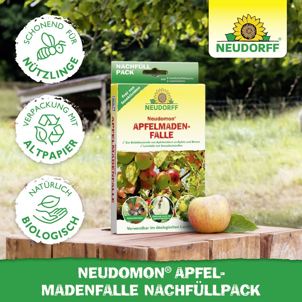 Neudomon Apfelmaden-Falle Nachfüllpack