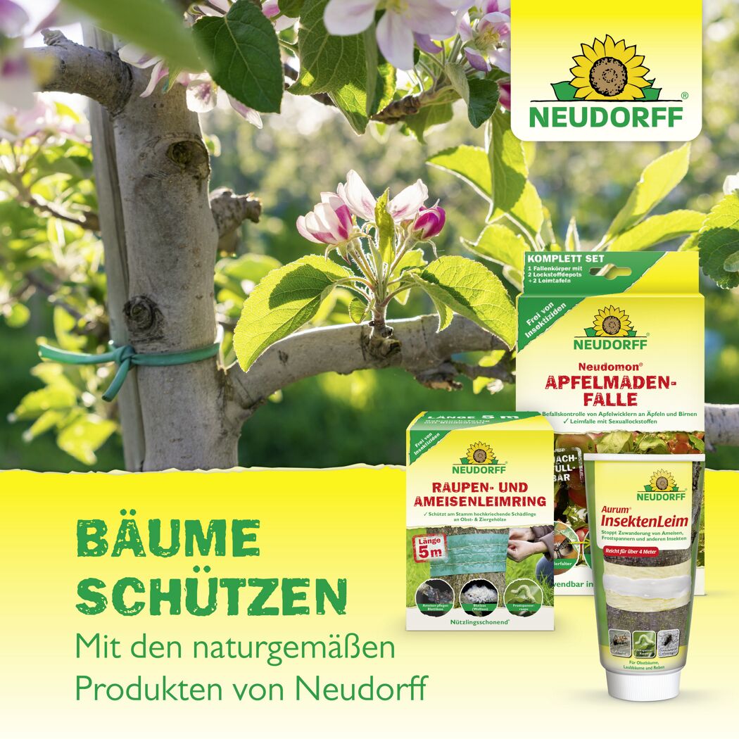 Neudomon Apfelmaden-Falle Nachfüllpack