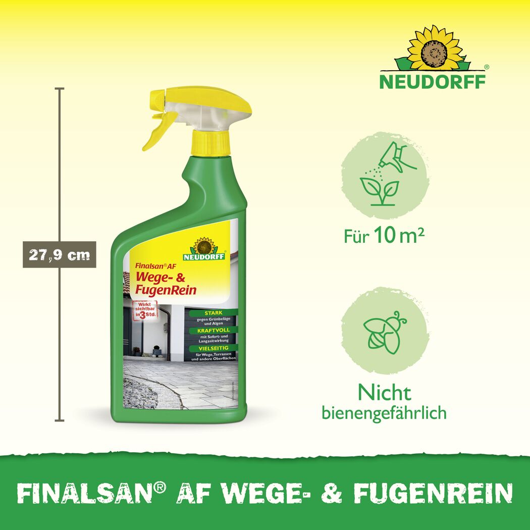 Finalsan AF Wege- und Fugenrein 1 l