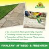 Finalsan AF Wege- und Fugenrein 1 l