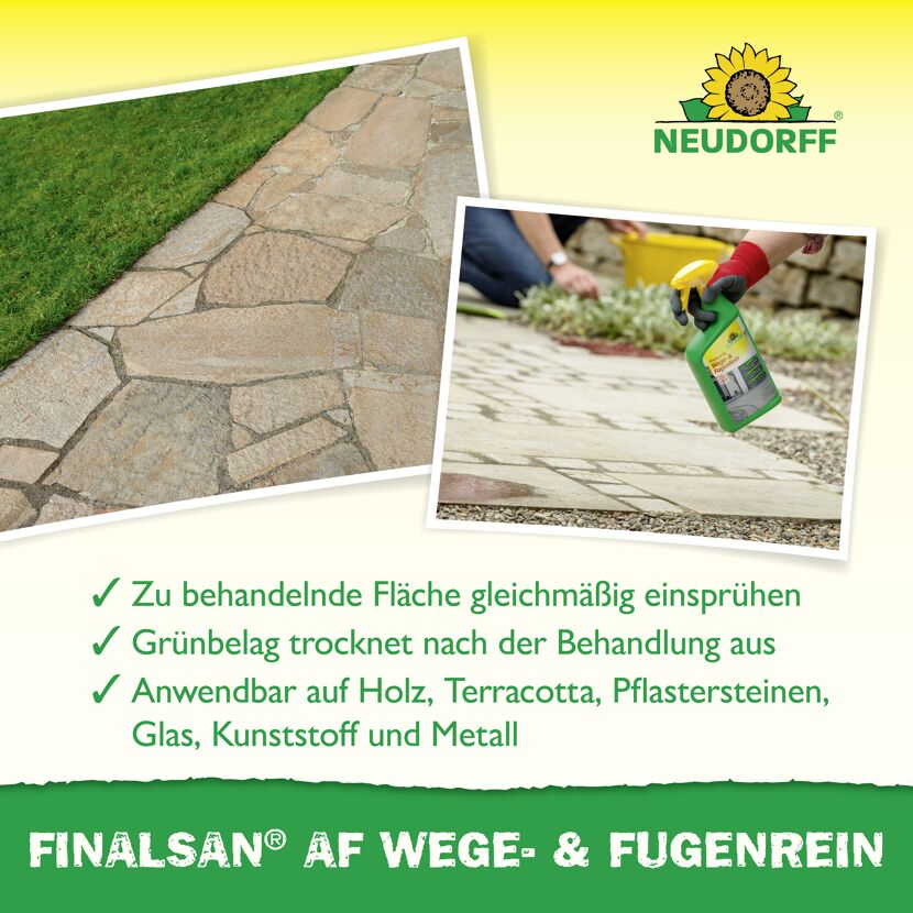 Finalsan AF Wege- und Fugenrein 1 l