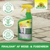 Finalsan AF Wege- und Fugenrein 1 l
