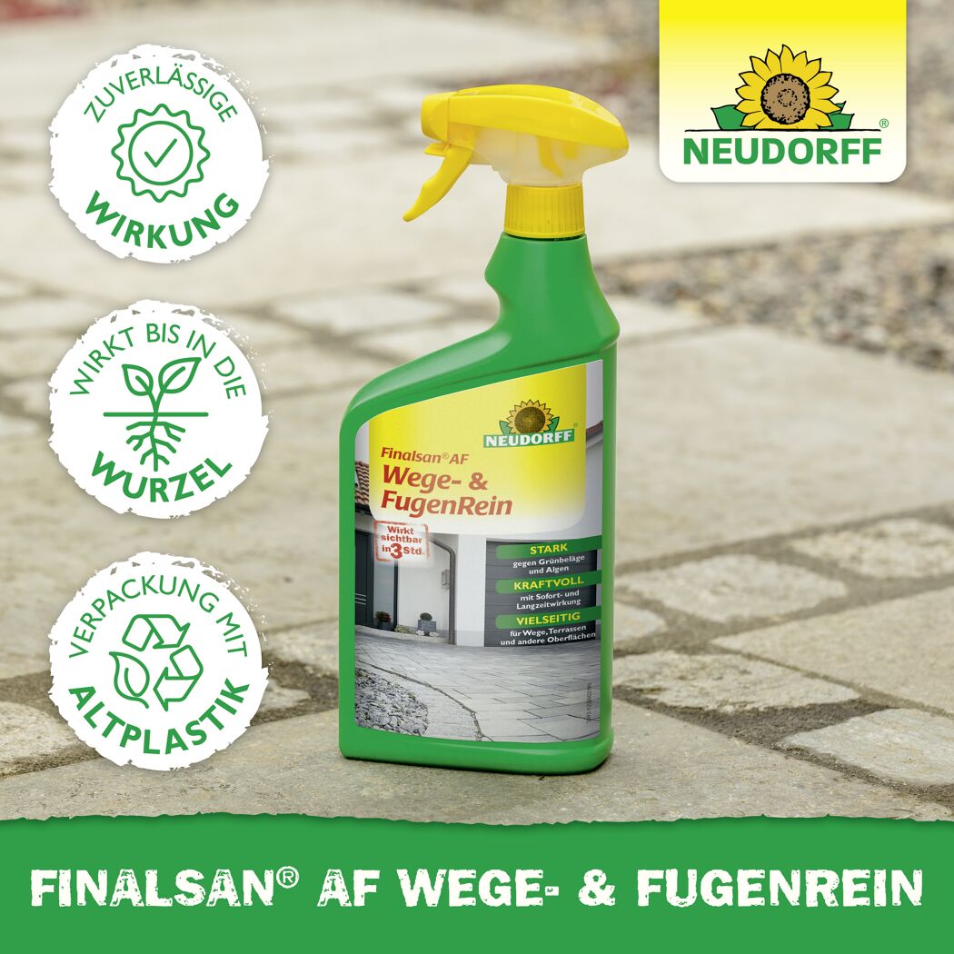 Finalsan AF Wege- und Fugenrein 1 l