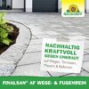 Finalsan AF Wege- und Fugenrein 1 l