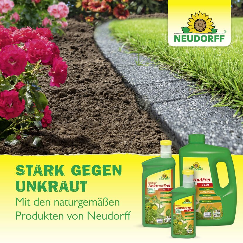 Finalsan Wege- und Fugenrein 1 l