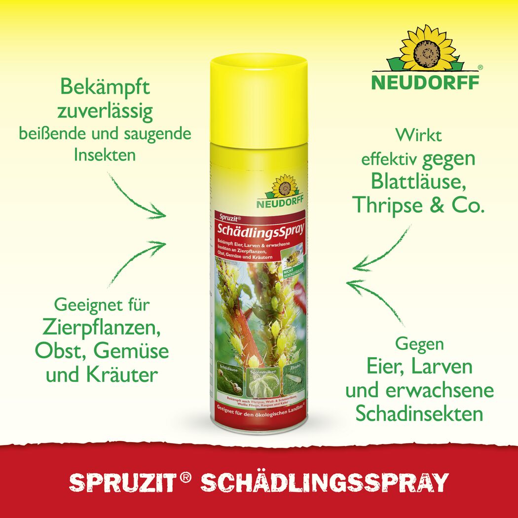 Spruzit Schädlingsspray 400 ml