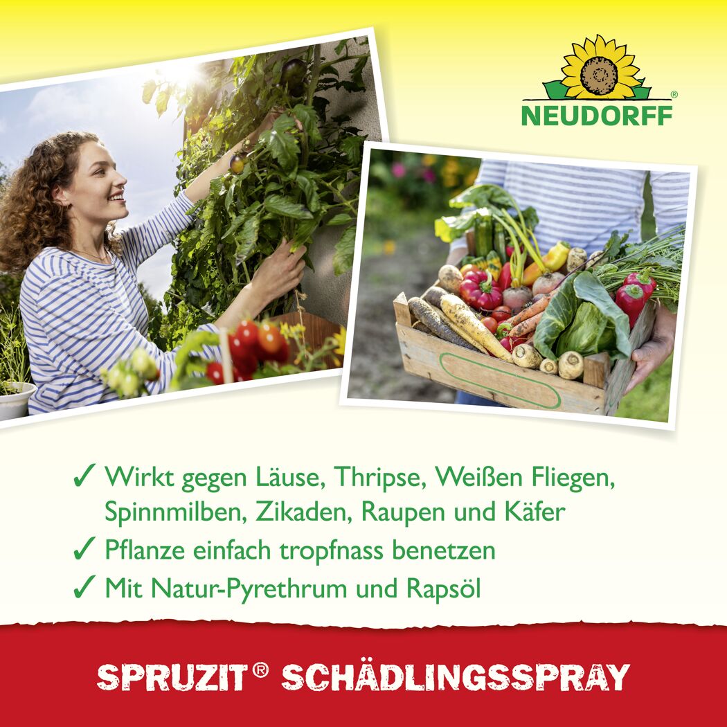 Spruzit Schädlingsspray 400 ml