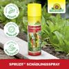 Spruzit Schädlingsspray 400 ml