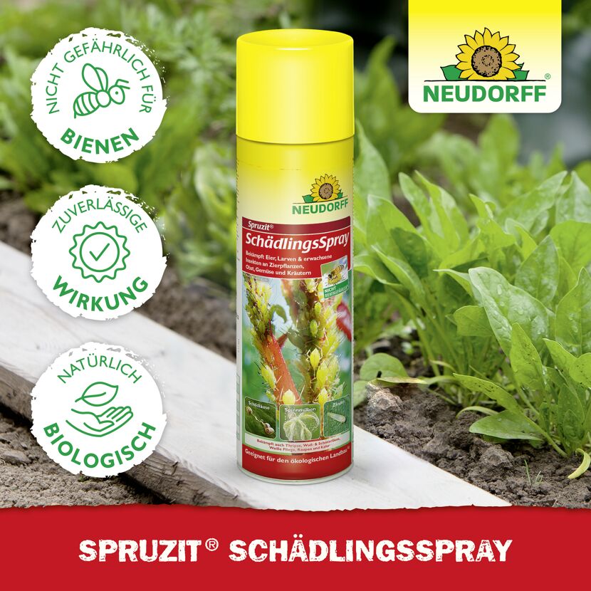 Spruzit Schädlingsspray 400 ml