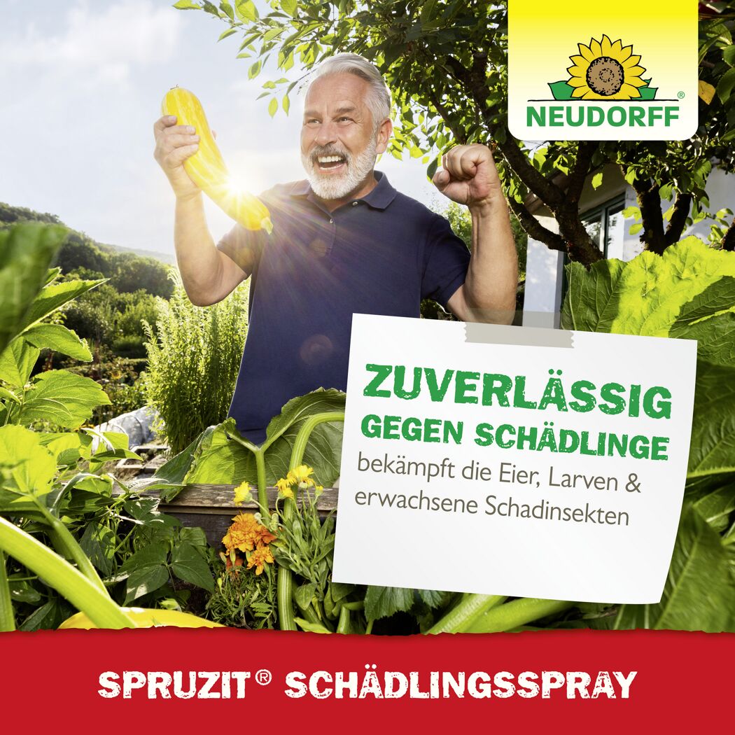 Spruzit Schädlingsspray 400 ml