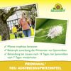 Austriebsspritzmittel 'Promanal Neu' 500 ml