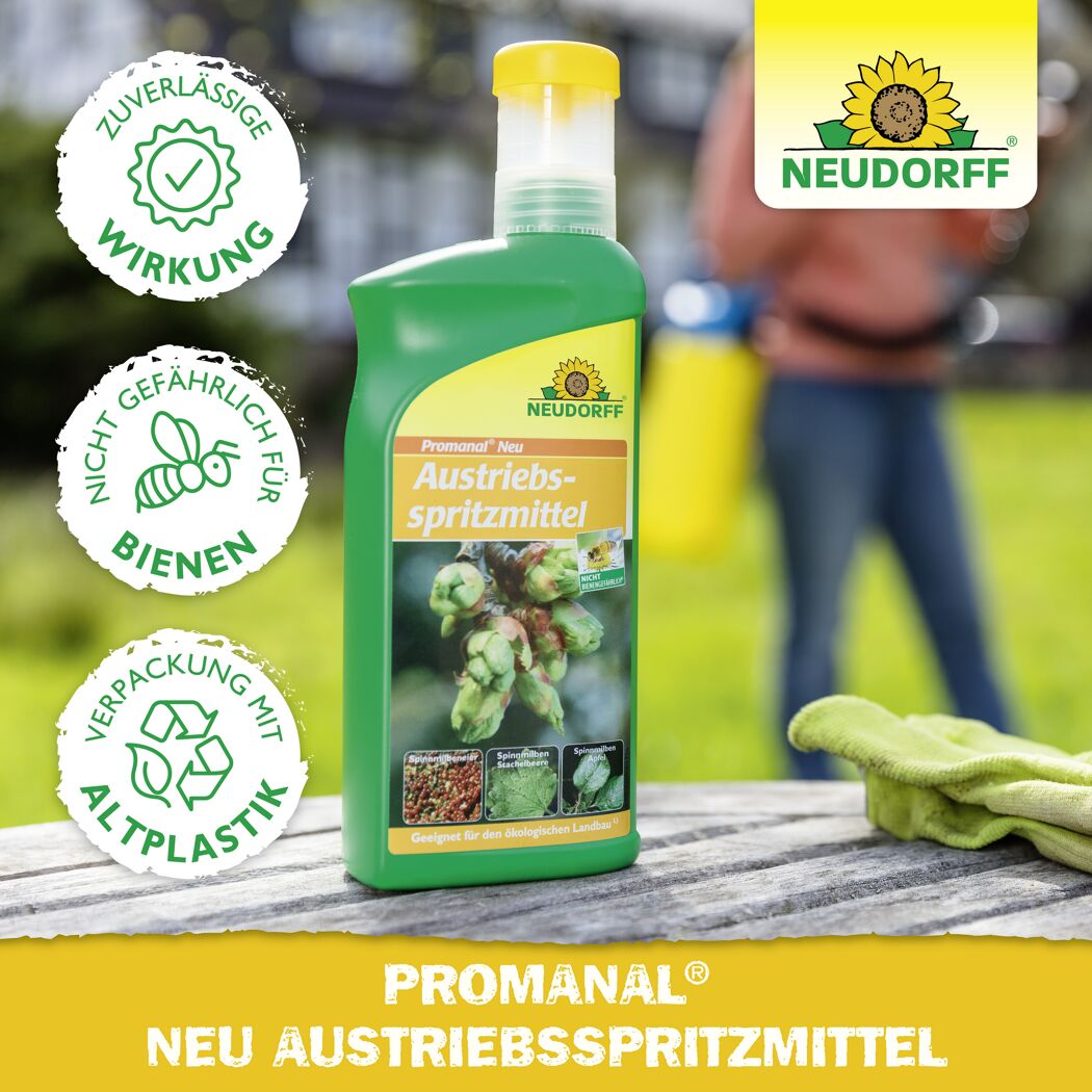 Austriebsspritzmittel 'Promanal Neu' 500 ml