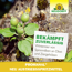 Promanal Neu Austriebsspritzmittel 500 ml