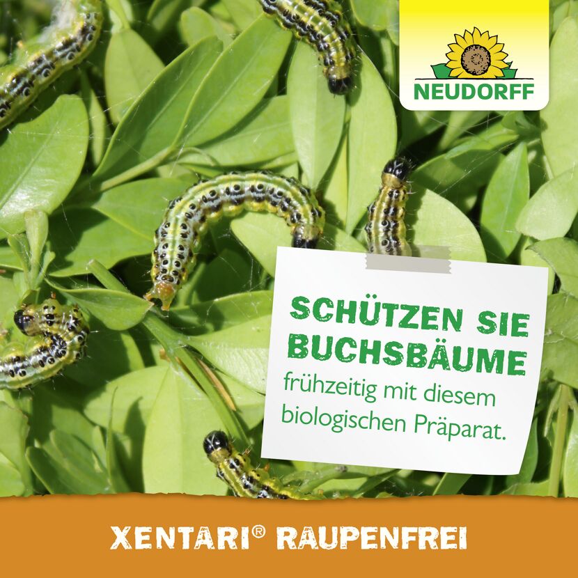 Xentari Raupenfrei 25 g