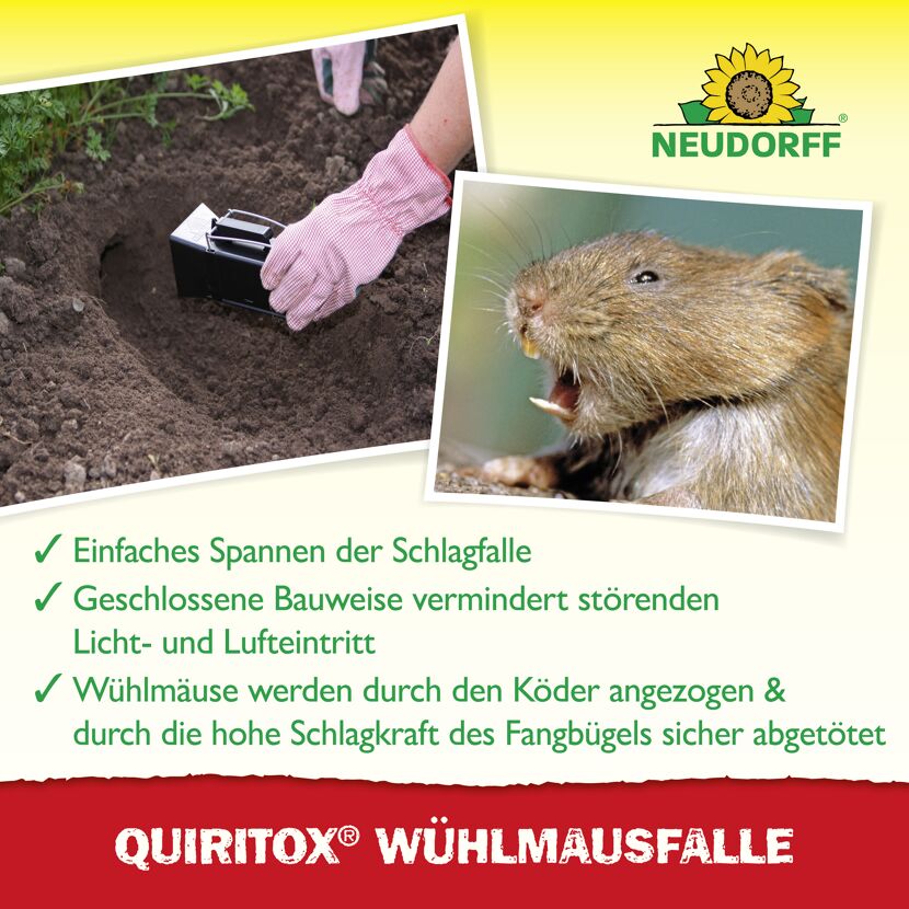 Wühlmausfalle 'Quiritox'