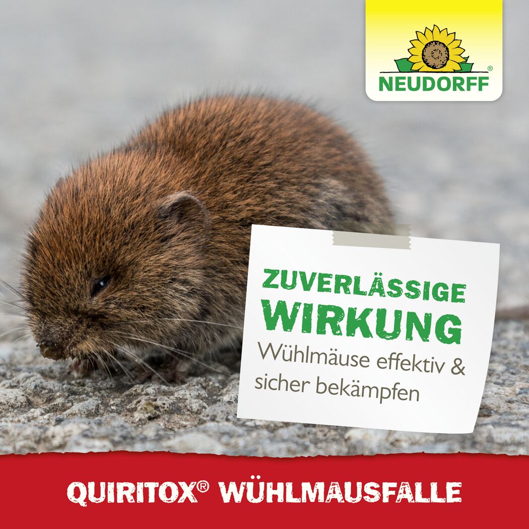 Wühlmausfalle 'Quiritox'