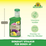 BioKraft Vitalkur für Rosen 300 ml