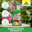 BioKraft Vitalkur für Rosen 300 ml
