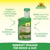 Vitalkur 'BioKraft' für Buxus 300 ml