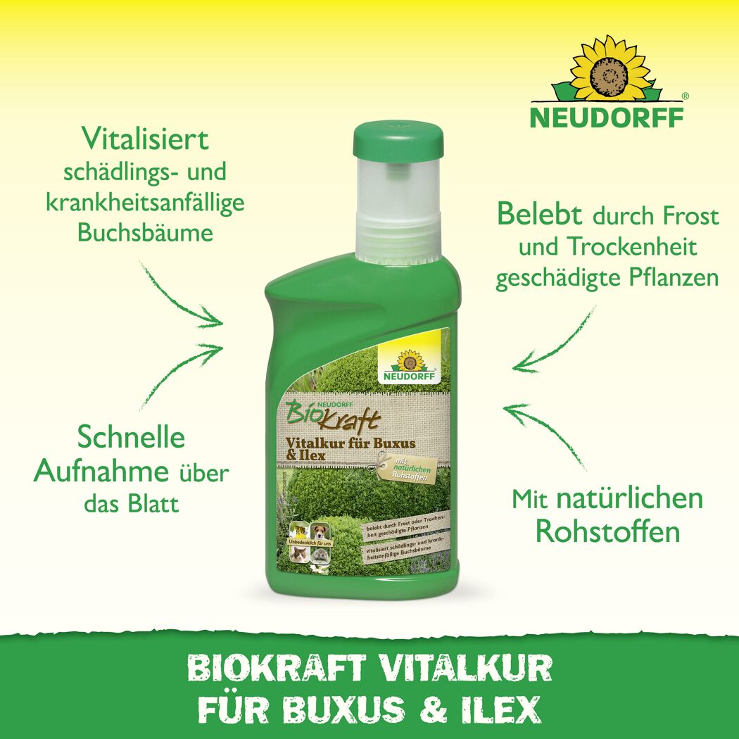 Vitalkur 'BioKraft' für Buxus 300 ml