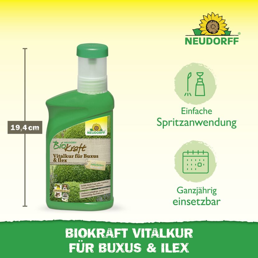 Vitalkur 'BioKraft' für Buxus 300 ml