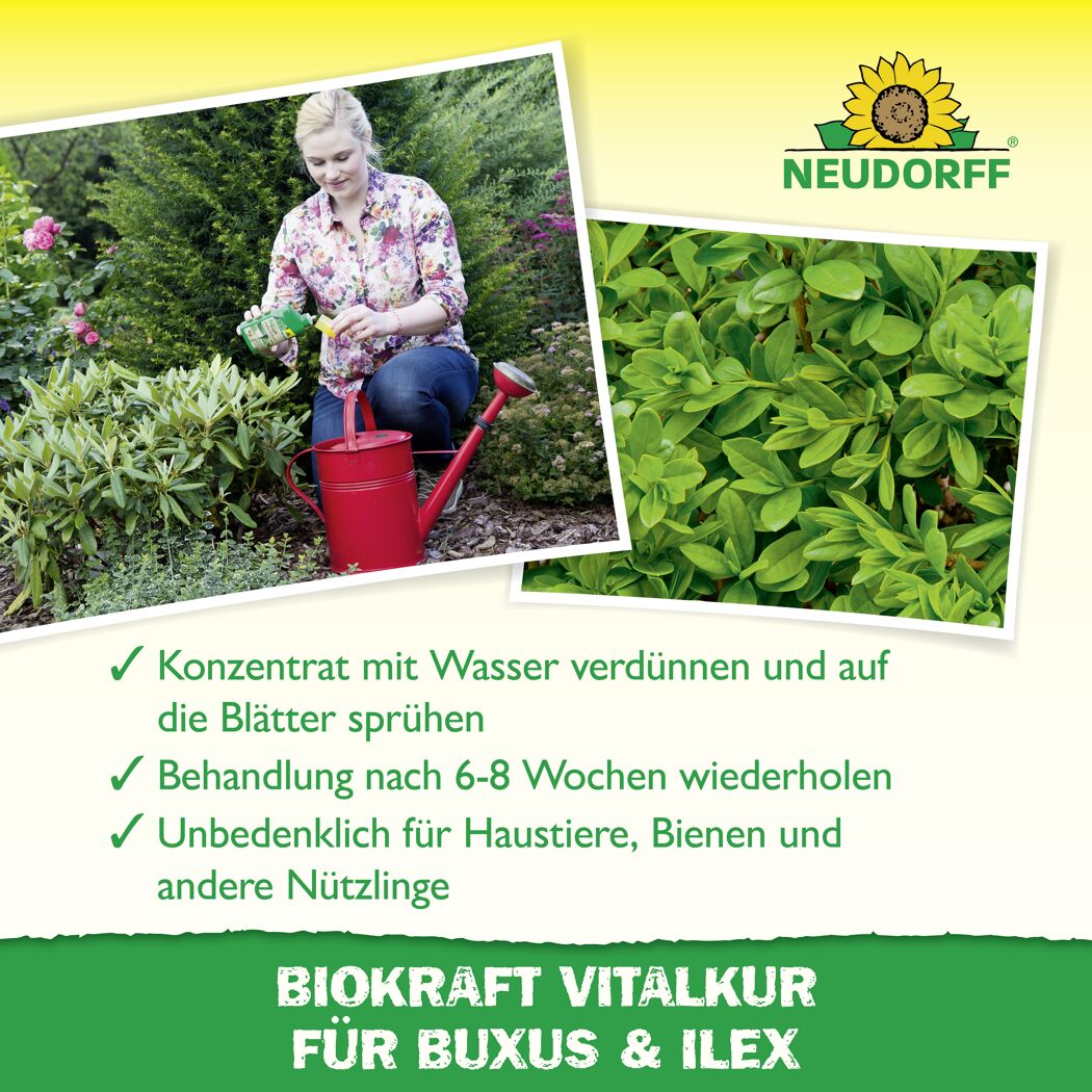 Vitalkur 'BioKraft' für Buxus 300 ml