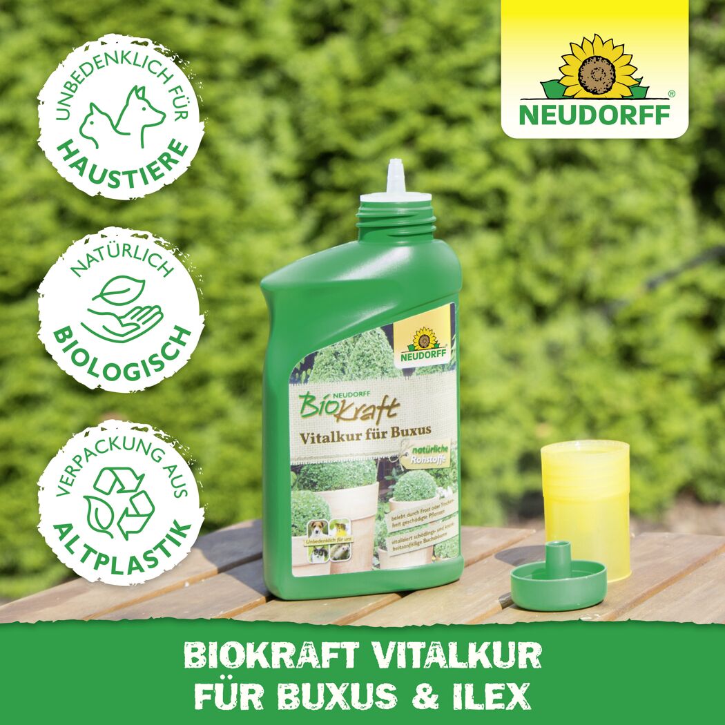 Vitalkur 'BioKraft' für Buxus 300 ml