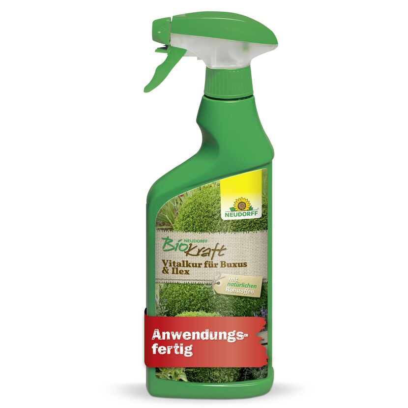 Vitalkur 'BioKraft' für Buxus 500 ml