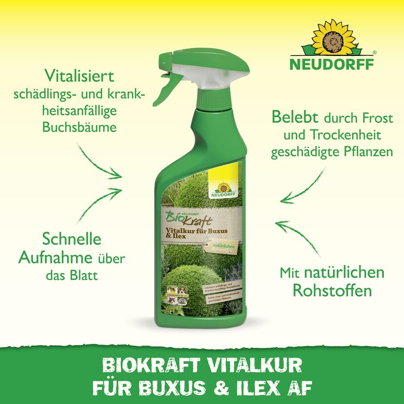 Vitalkur 'BioKraft' für Buxus 500 ml