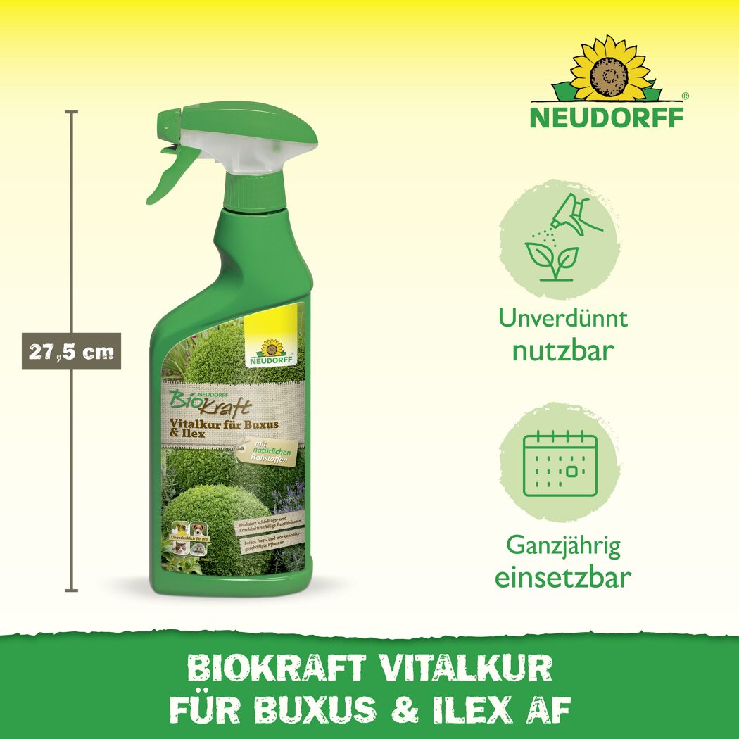 Vitalkur 'BioKraft' für Buxus 500 ml