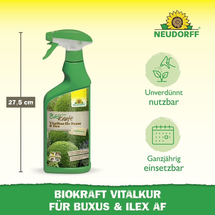Vitalkur 'BioKraft' für Buxus 500 ml